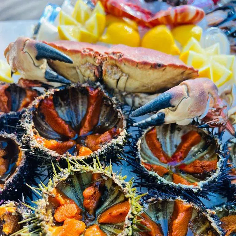 plateau-oursin-crabe