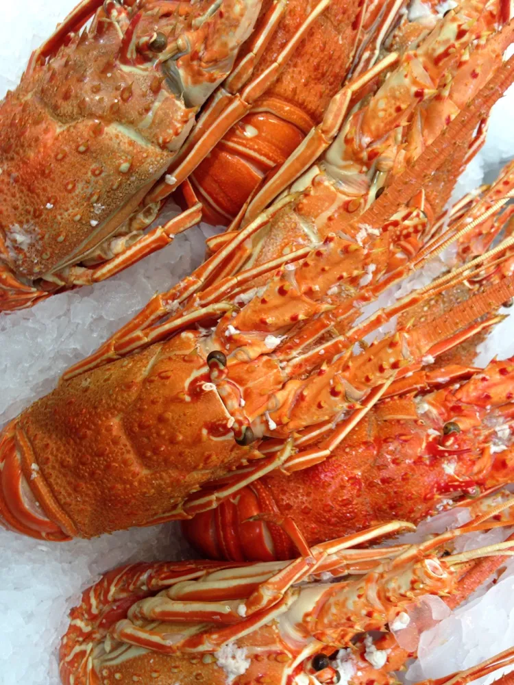 crustacés crustacés