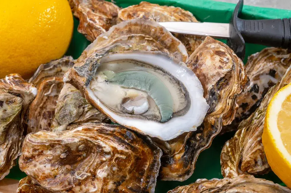 huitre-fine-de-claire-3