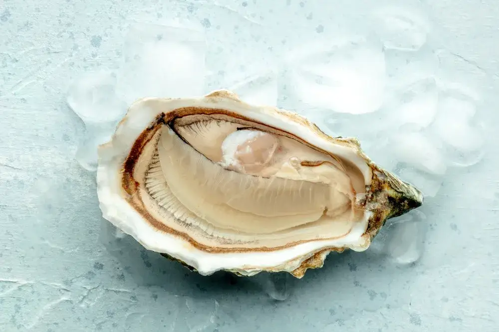 Huîtres de Camargue à Marseille