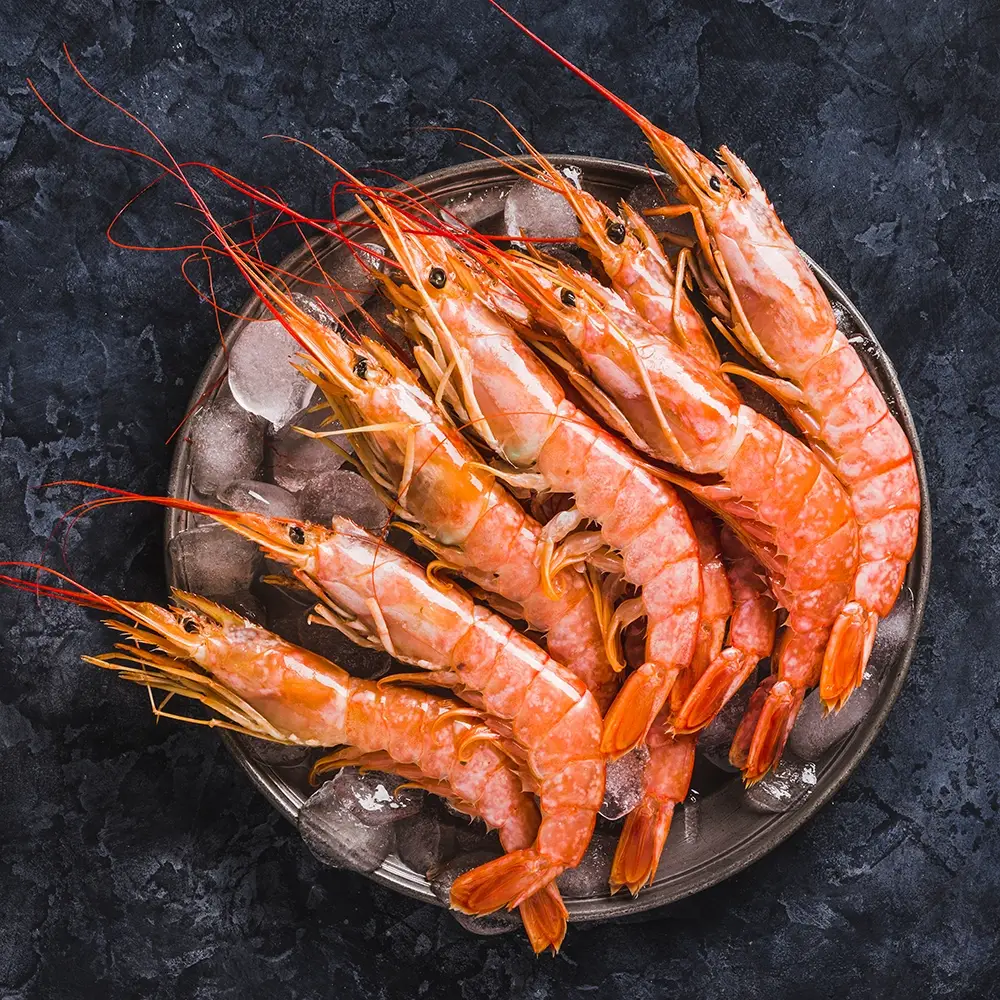 crevettes-sauvages