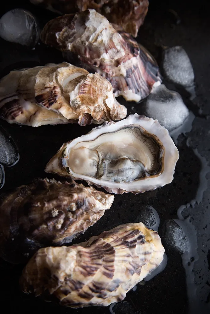 huitre-traiteur huitre-traiteur